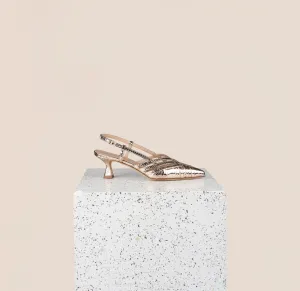 Novara - Gold Snake